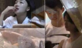 明星窗帘爆料视频大全,独家爆料视频大全大汇总